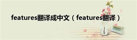 feature 中文|features的中文意思.
